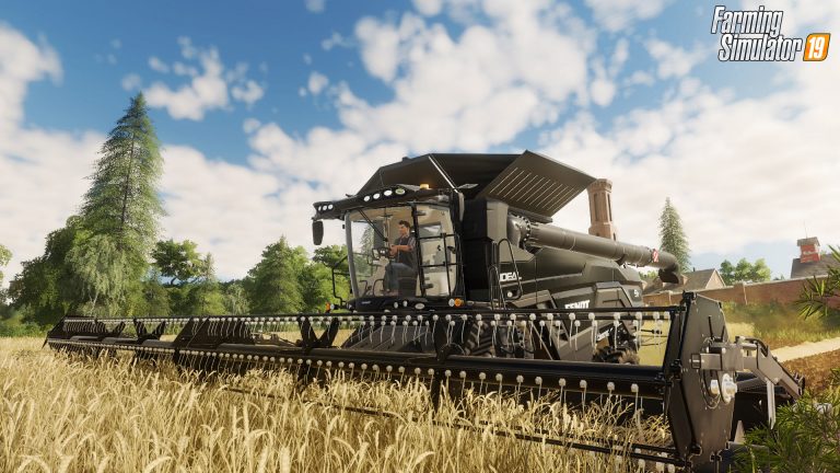 Farming simulator 19 как убрать камни с участка